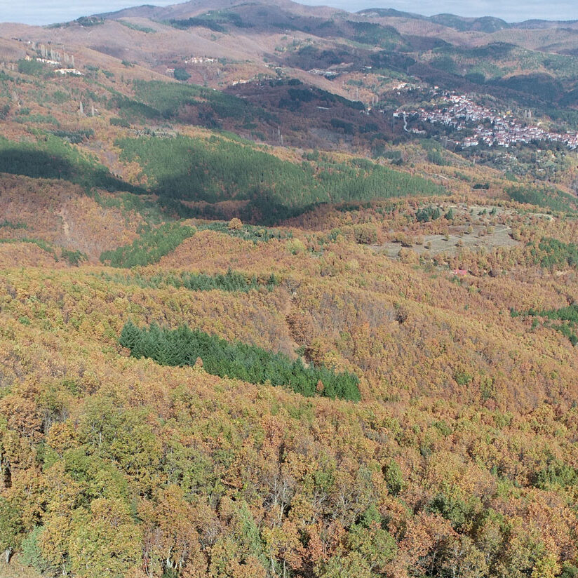 ΤΑΞΙΑΡΧΗΣ ΑΠΟ ΧΩΡΟ ΘΕΑΣ ΦΤΕΛΙΑ