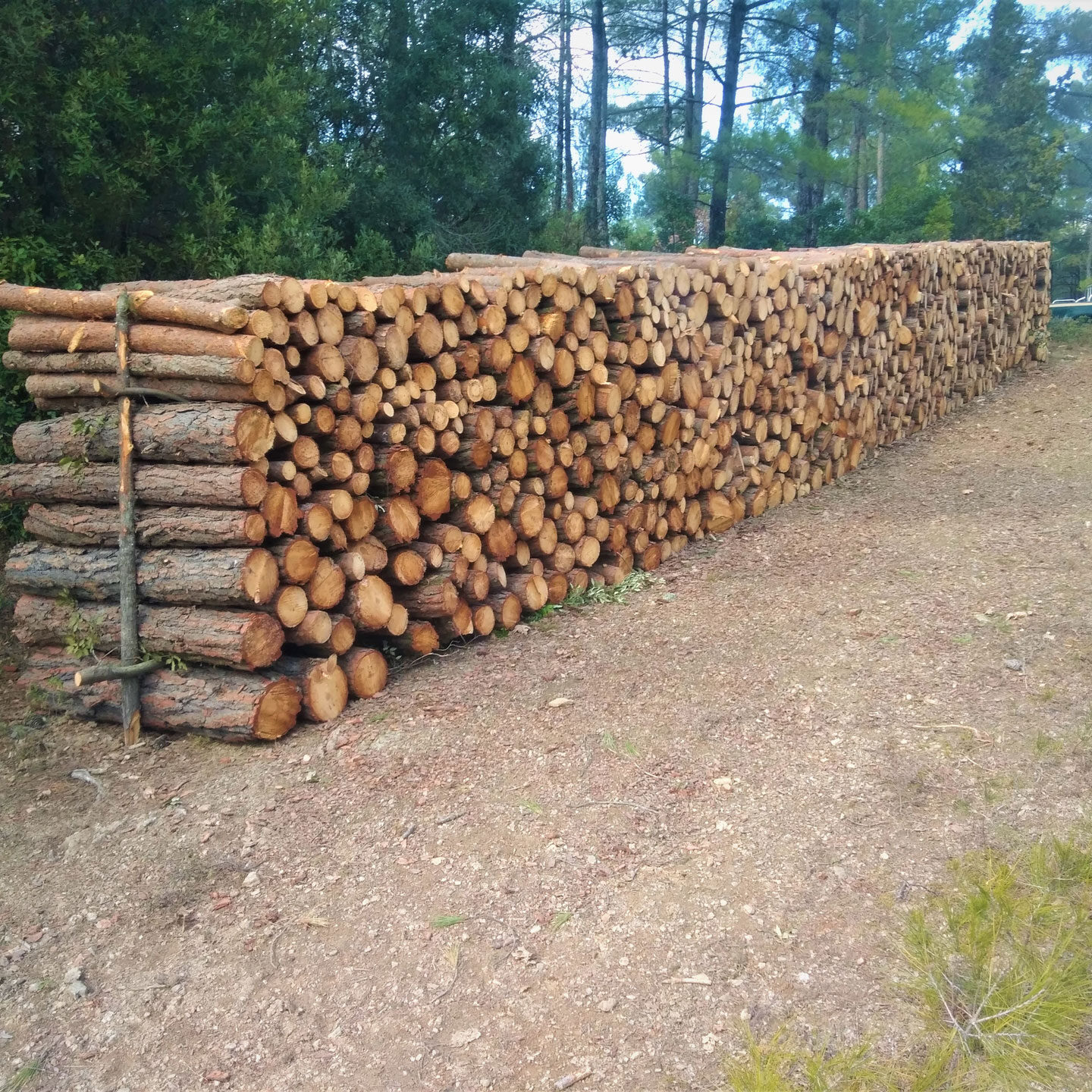 ΣΤΟΙΒΑΞΗ ΞΥΛΕΙΑΣ