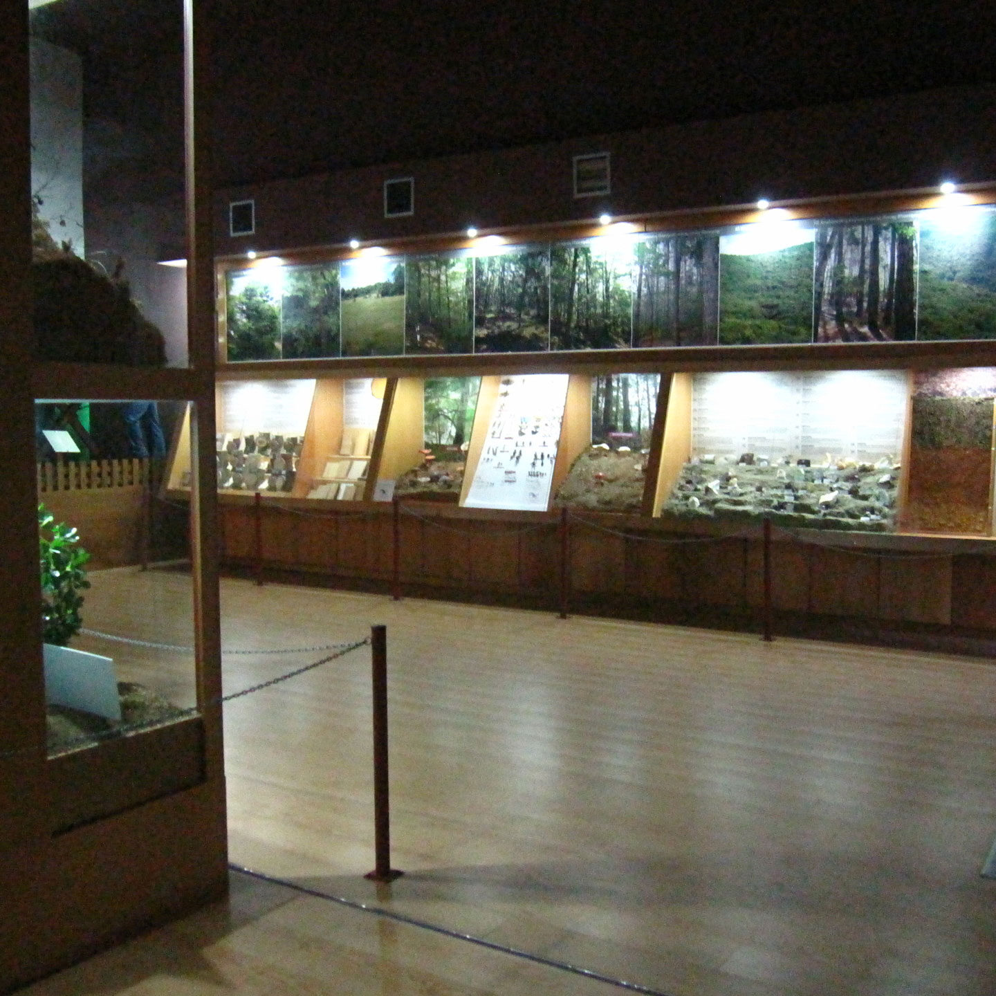 Γενική άποψη των εκθεμάτων στο Μουσείο Φυσικής Ιστορίας του Πανεπιστημιακού Δάσους Ταξιάρχη