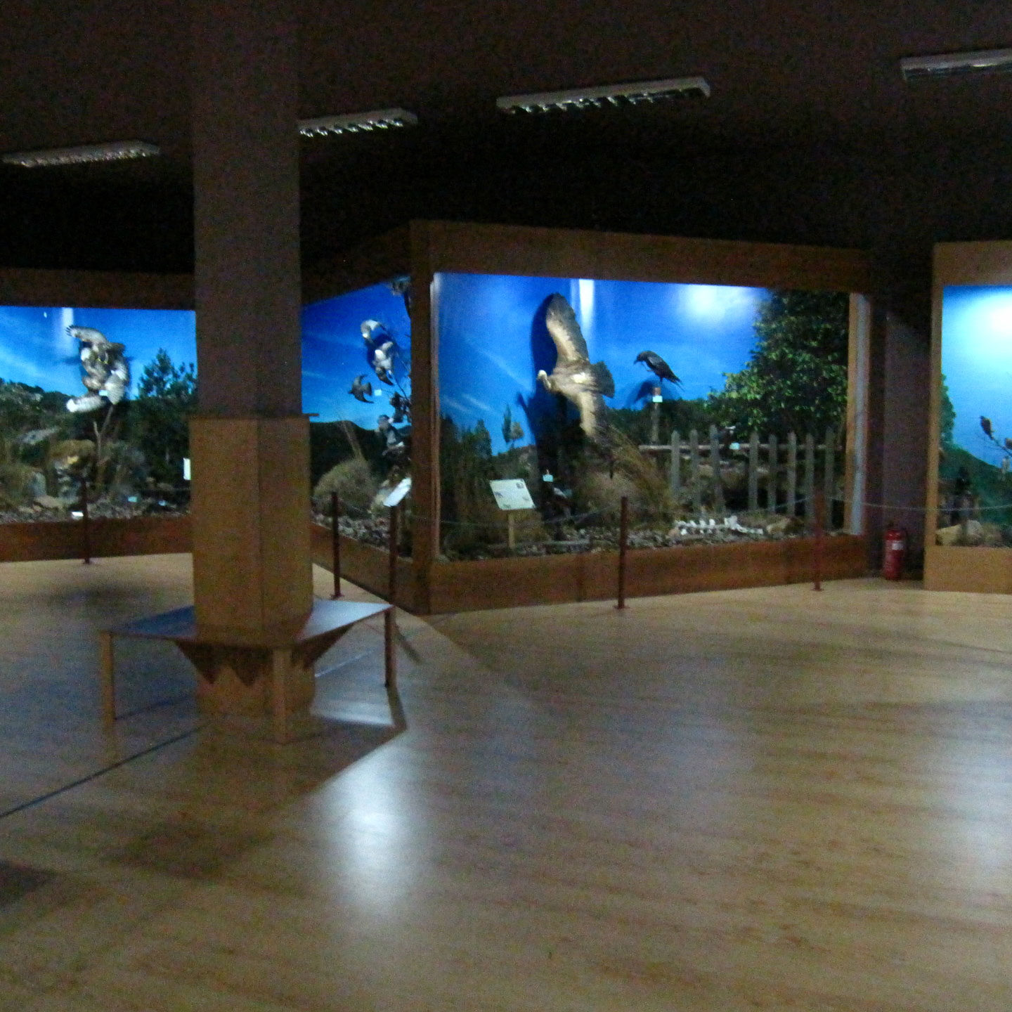 Γενική άποψη των εκθεμάτων στο Μουσείο Φυσικής Ιστορίας του Πανεπιστημιακού Δάσους Ταξιάρχη