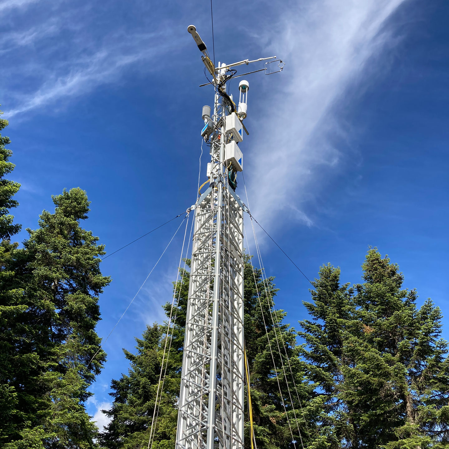 Σταθμός Κλιματικής Αλλαγής στο Πανεπιστημιακό Δάσος Περτουλίου