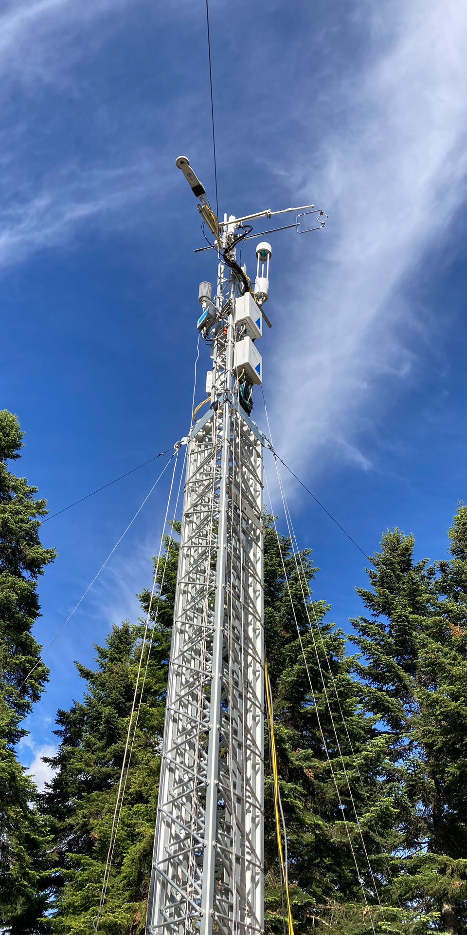 Σταθμός Κλιματικής Αλλαγής στο Πανεπιστημιακό Δάσος Περτουλίου
